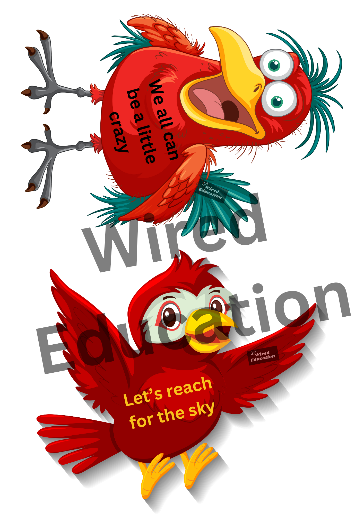 Bird classroom treaty/rules