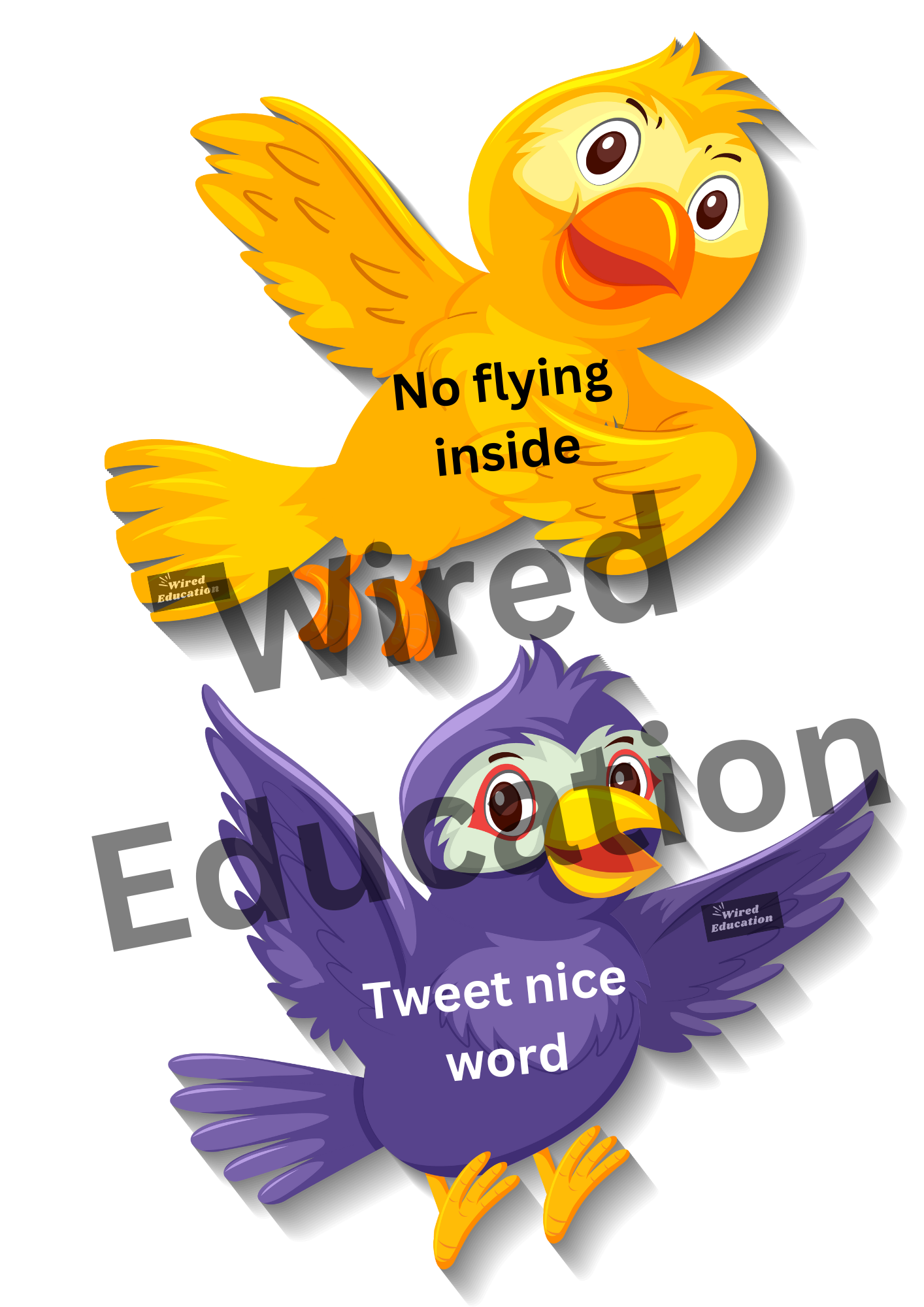 Bird classroom treaty/rules