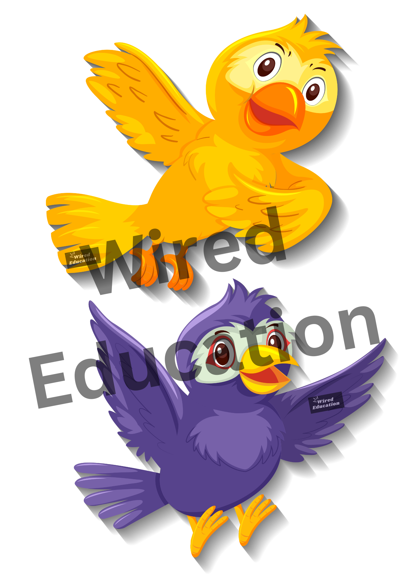 Bird classroom treaty/rules
