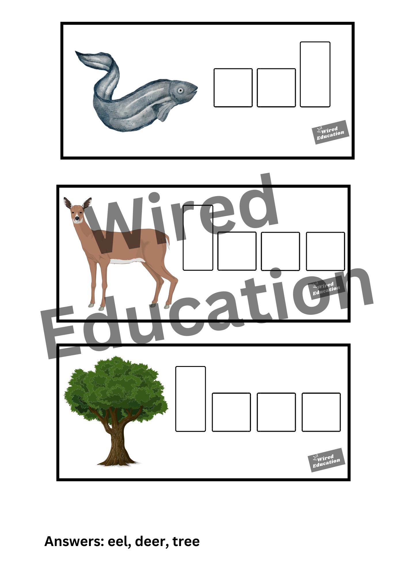 Spelling with sounds ee words