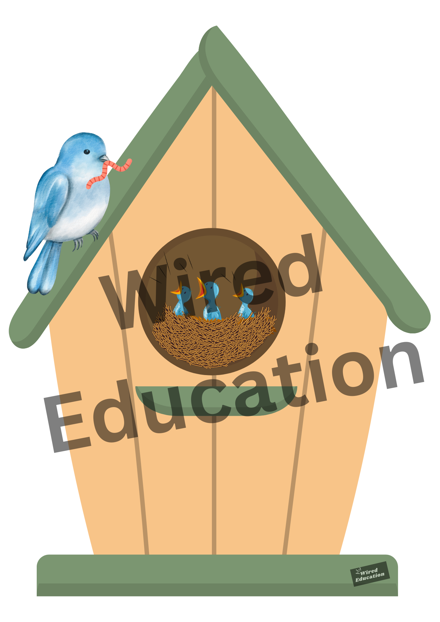 Bird classroom treaty/rules