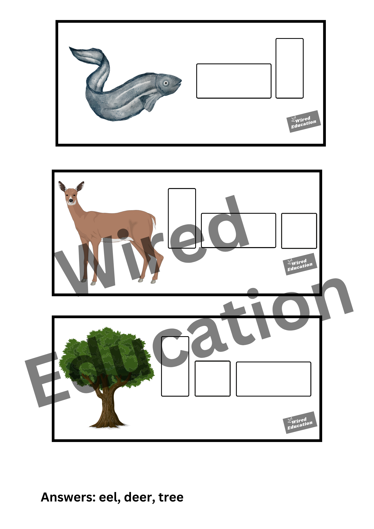 Diphthong Flash Cards