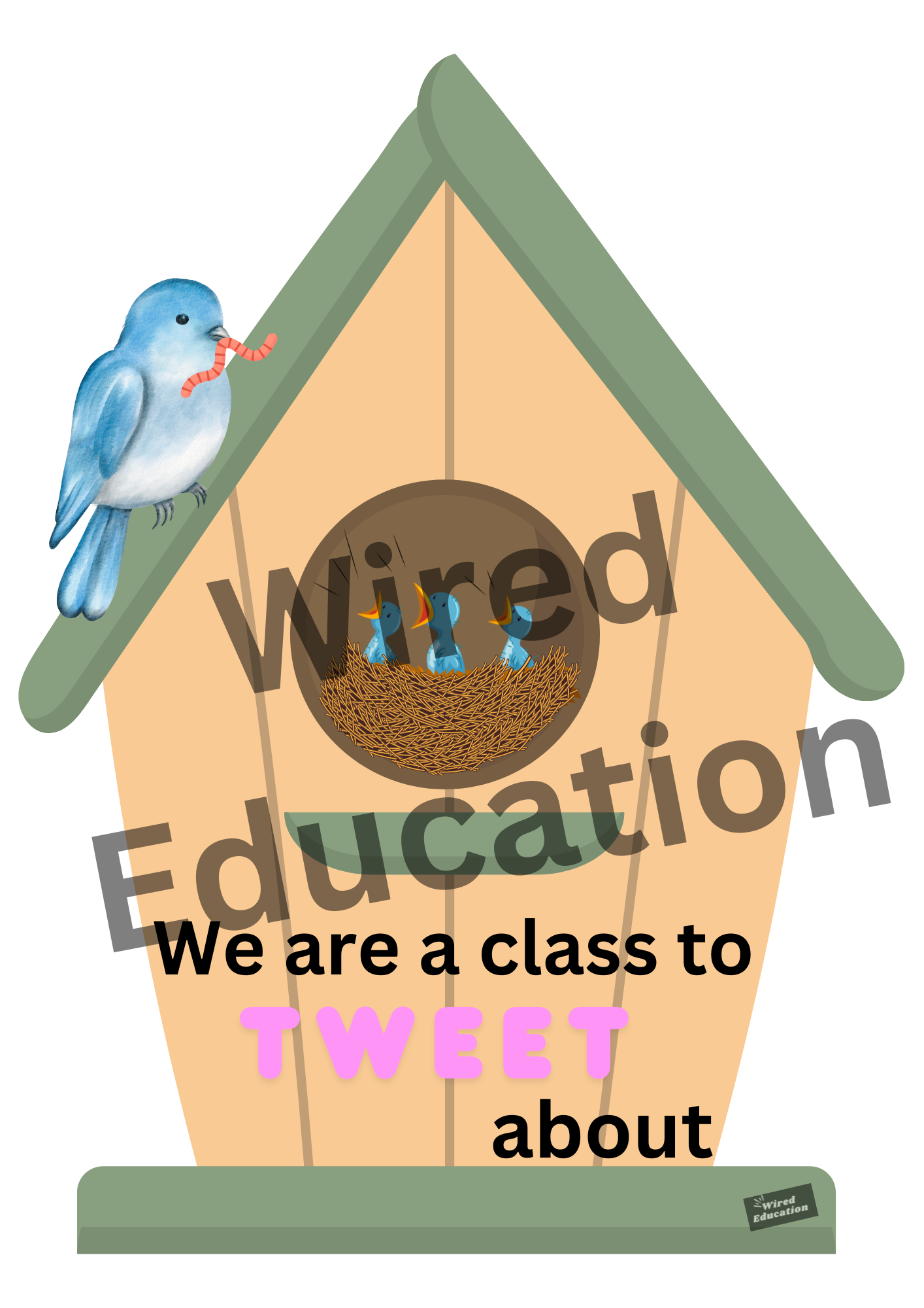 Bird classroom treaty/rules