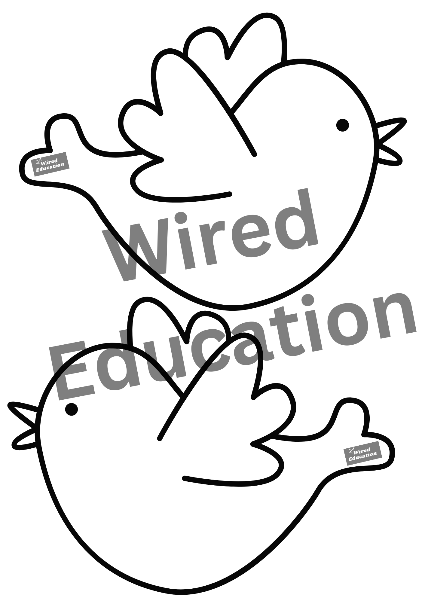 Bird classroom treaty/rules