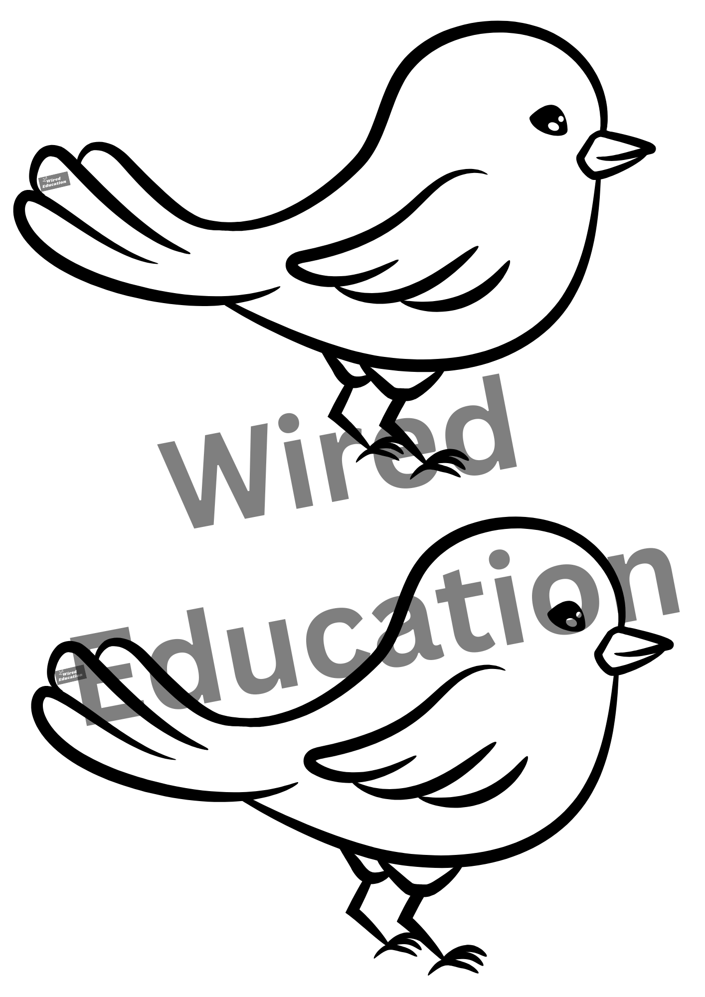 Bird classroom treaty/rules