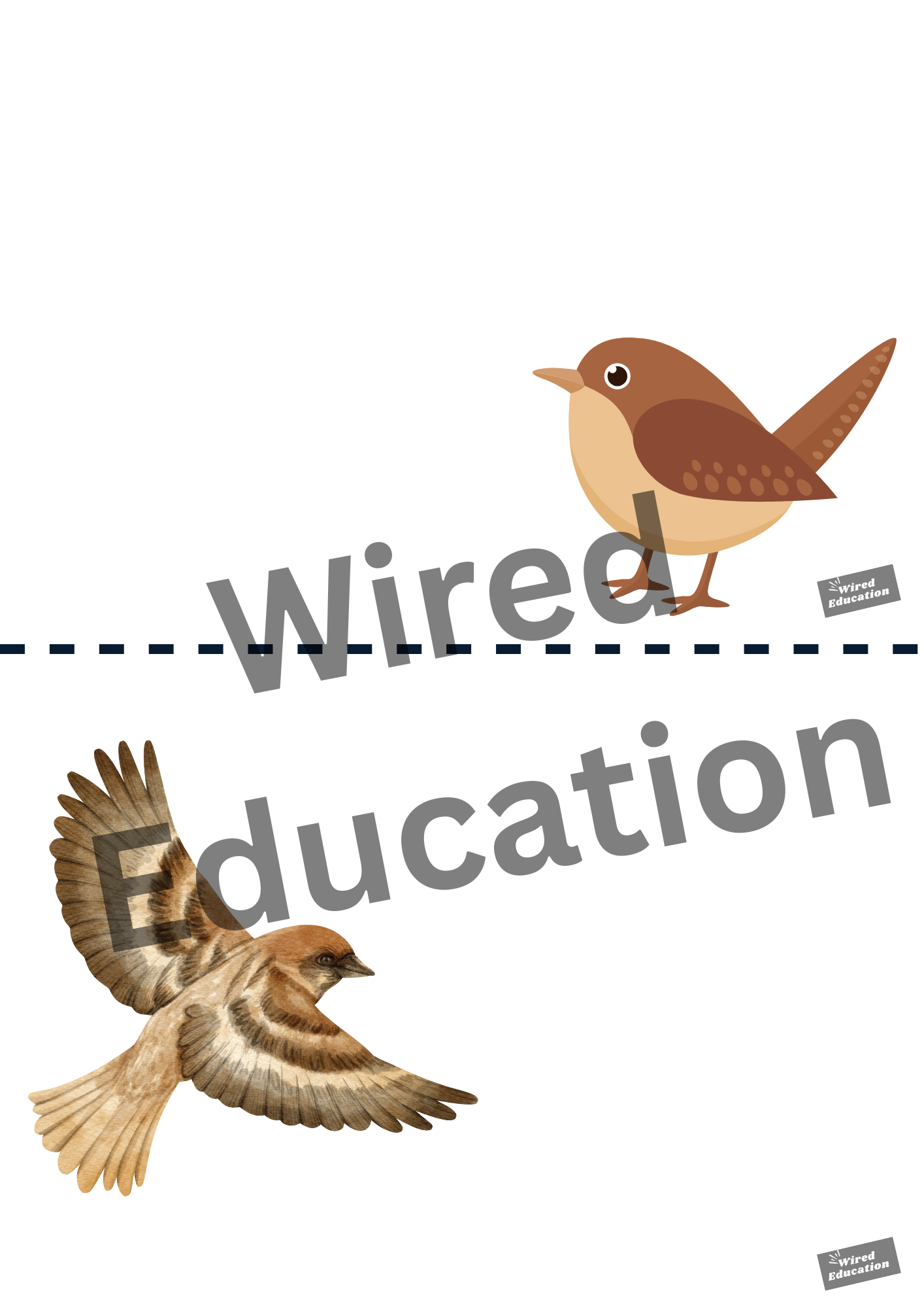 Bird classroom treaty/rules