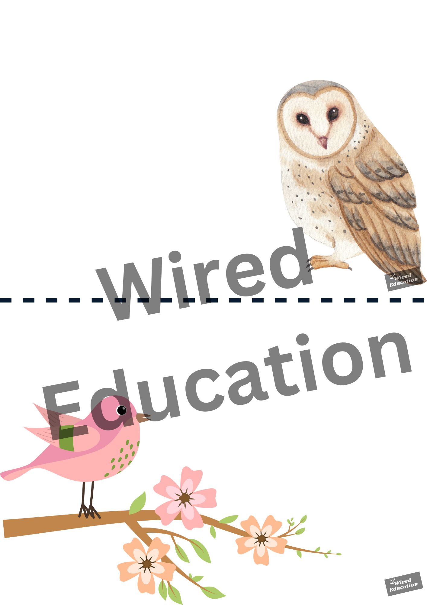 Bird classroom treaty/rules
