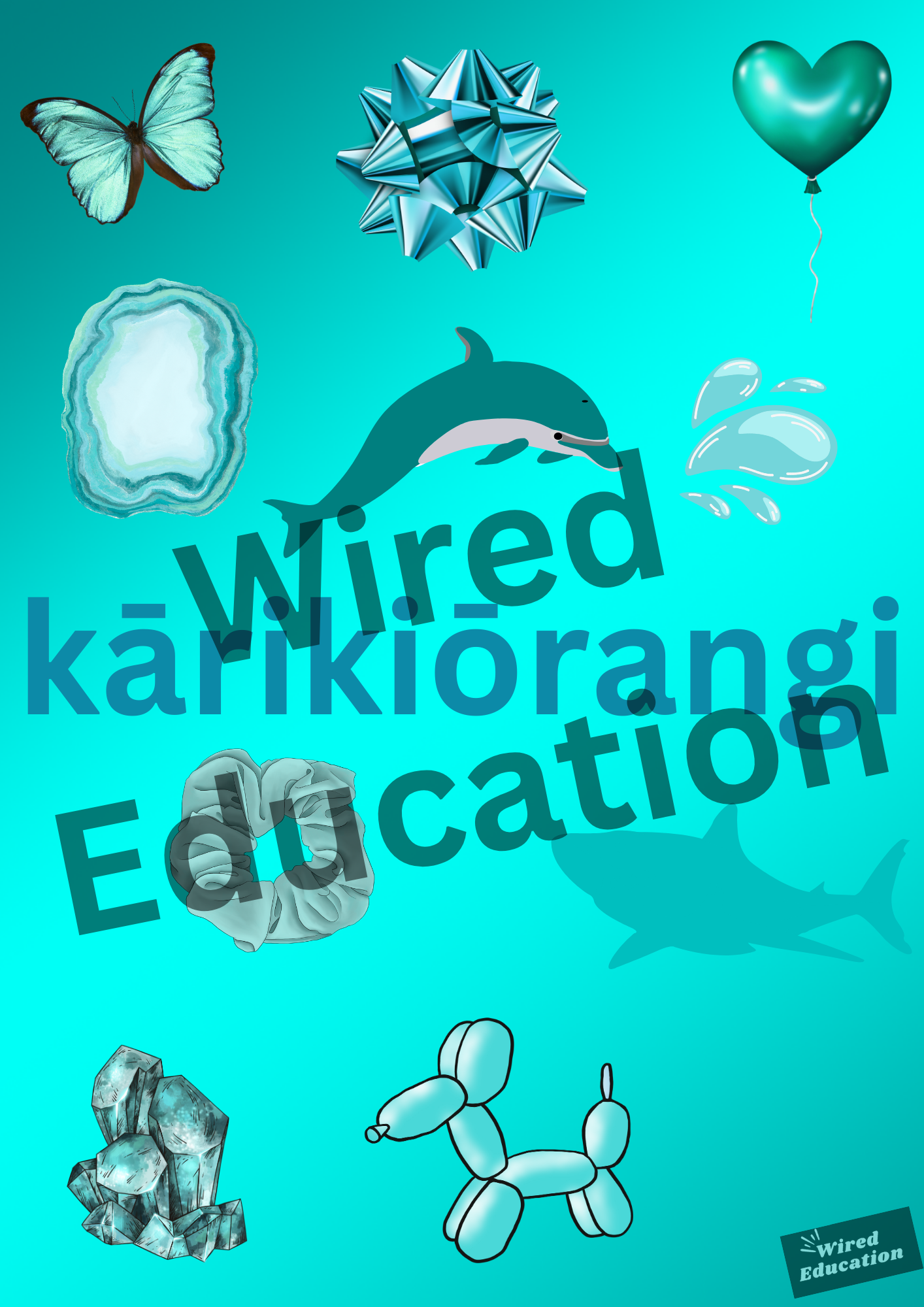 Maori Colour Display