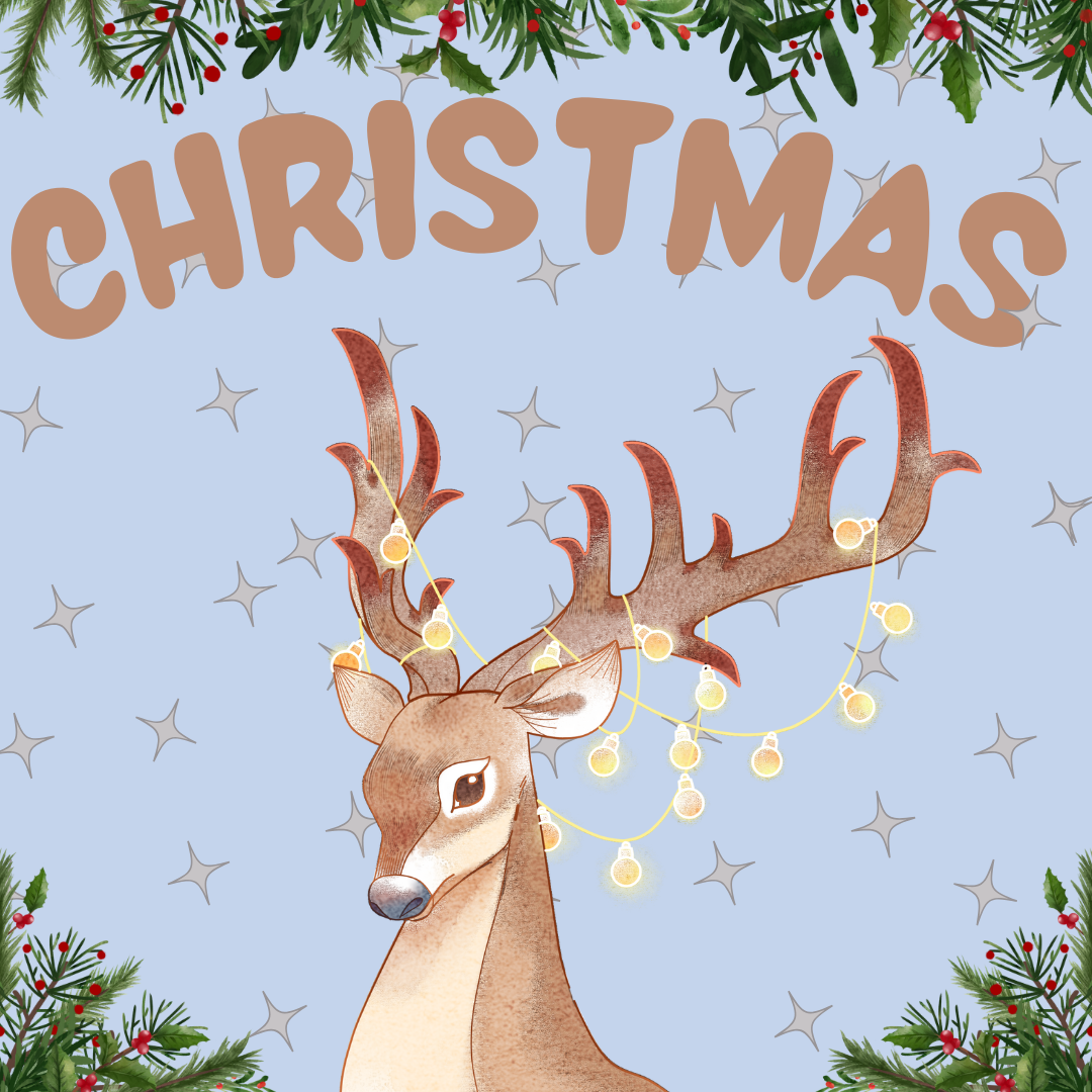 Christmas Literacy