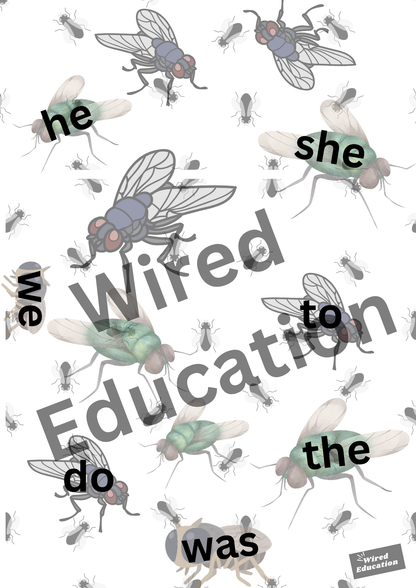 heart words fly swat