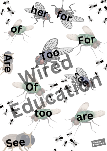 heart words fly swat