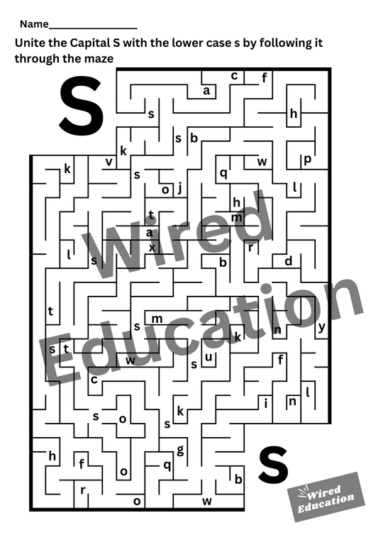 Letter S maze