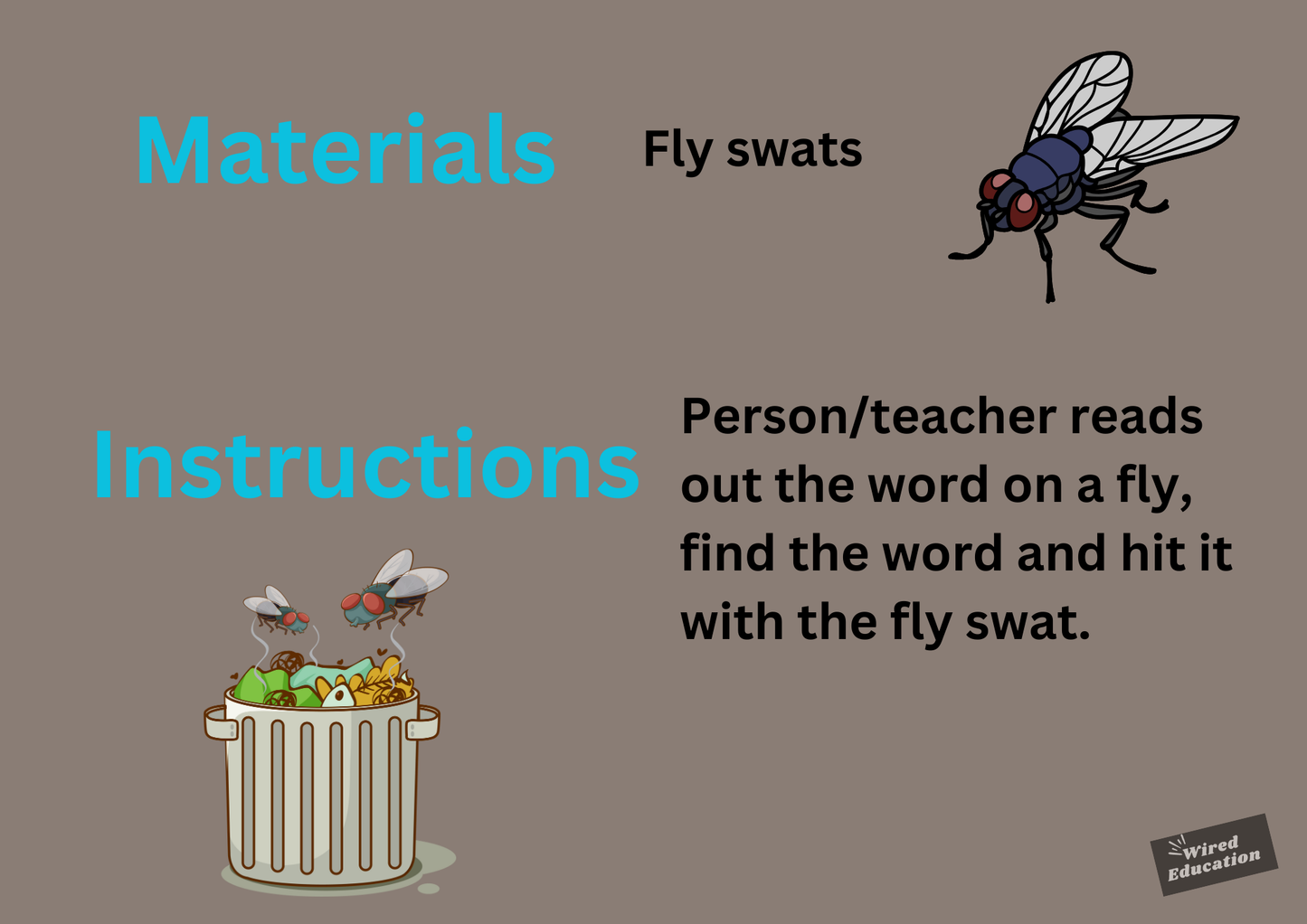 Fly Swat