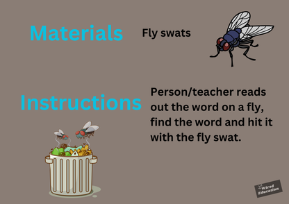 Fly Swat
