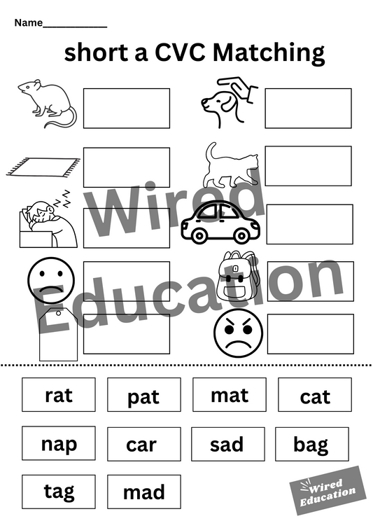 CVC a matching activity