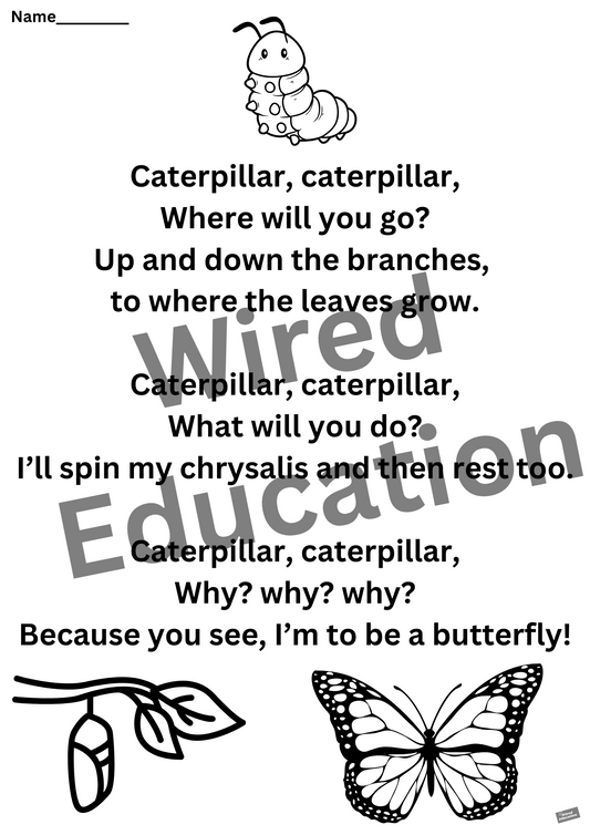 Poem: Caterpillar worksheet
