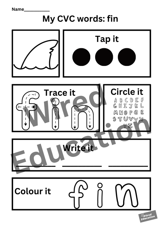 My CVC words - fin