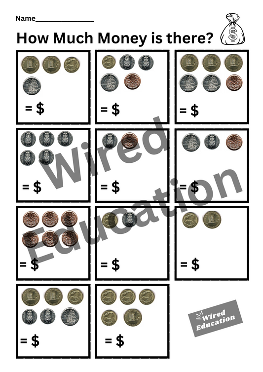 How much money? (coins)