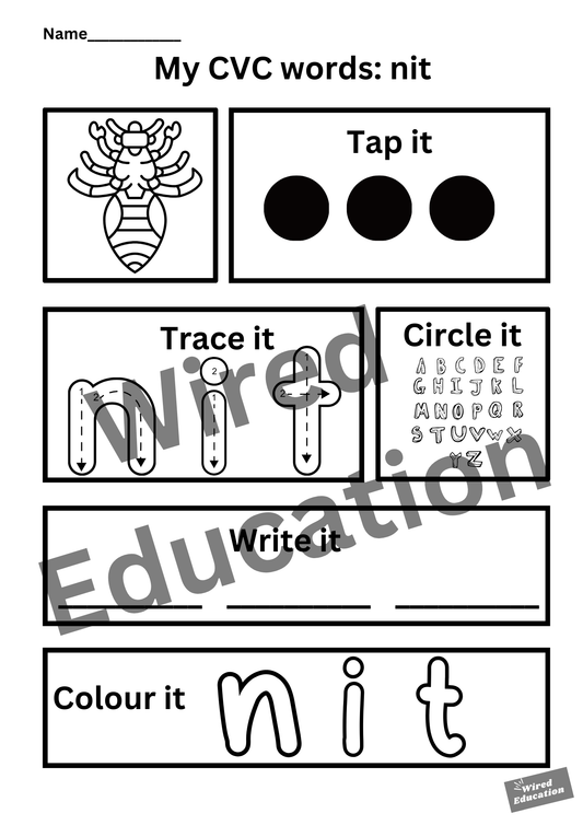 My CVC words - nit