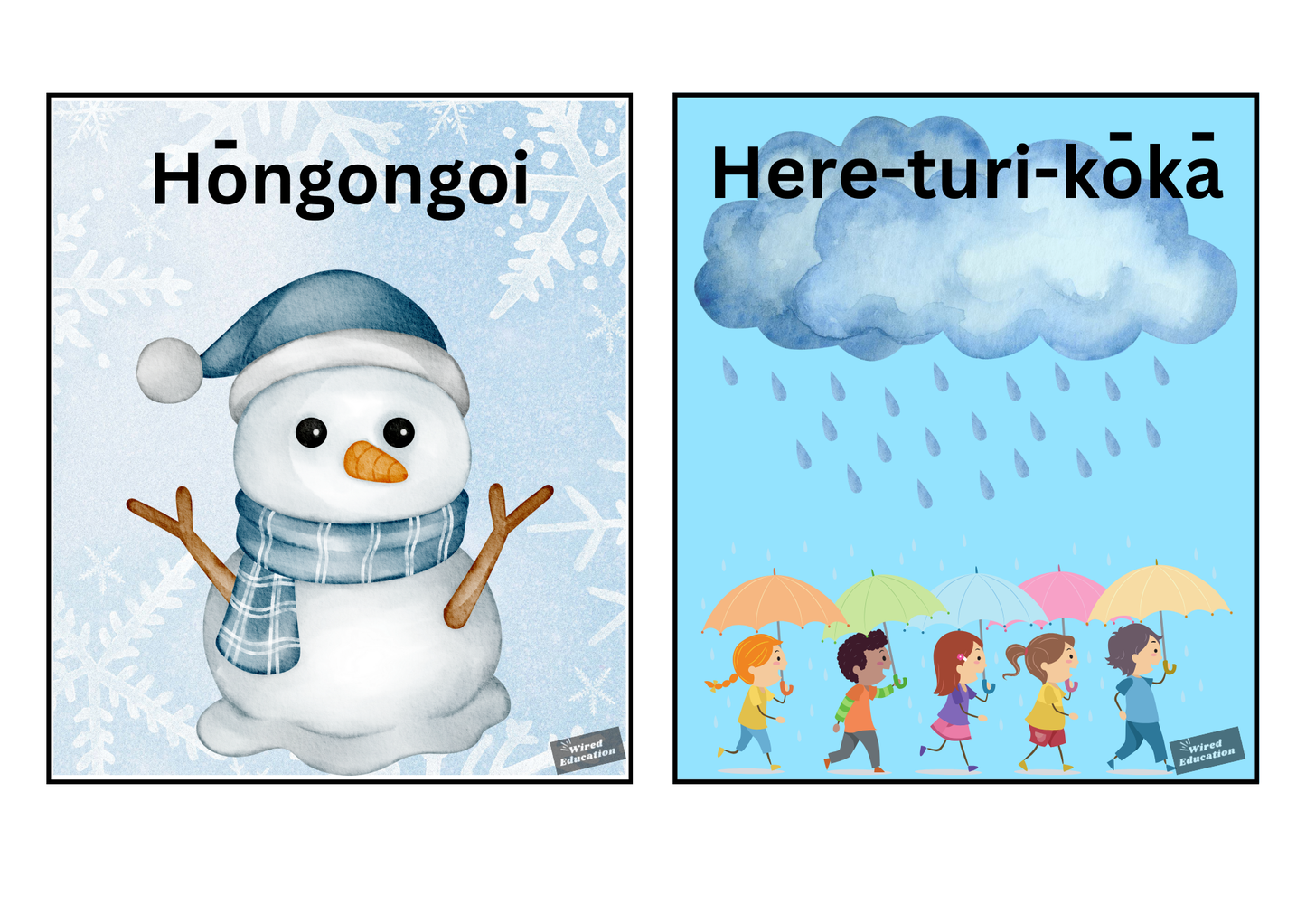 Maori Calendar Display