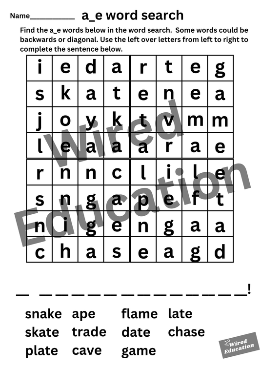 a_e word search