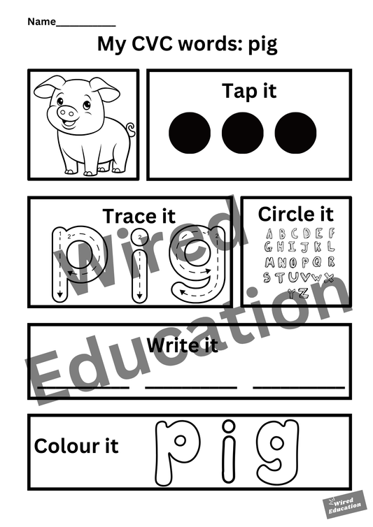 My CVC words - pig