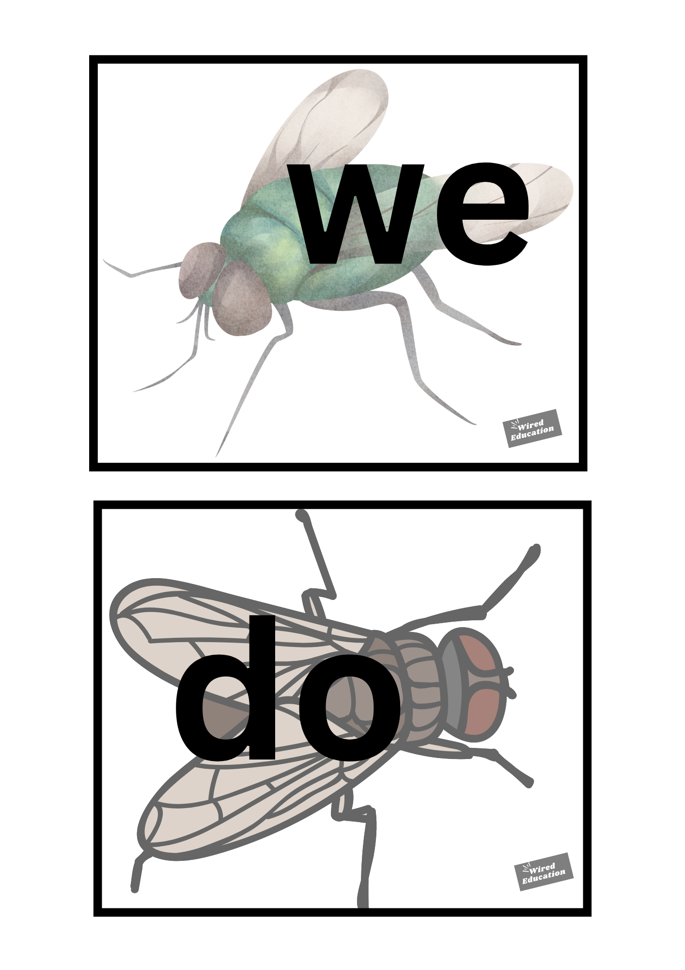 Fly Swat