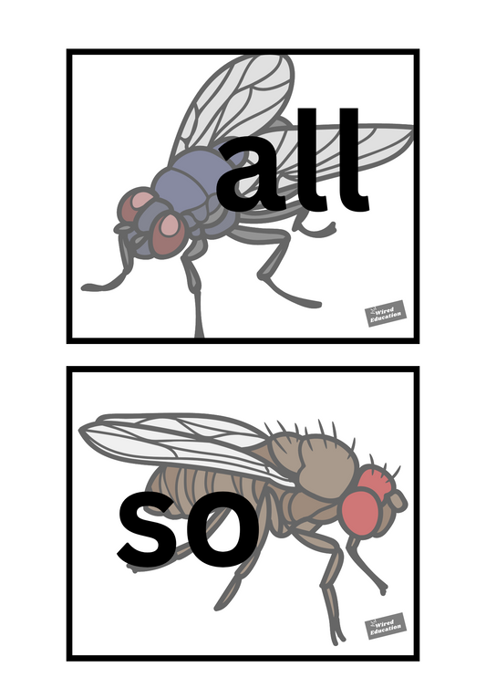 Fly Swat