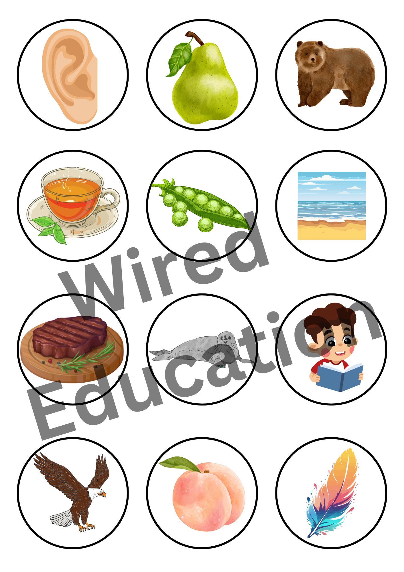 Long e sorting activity