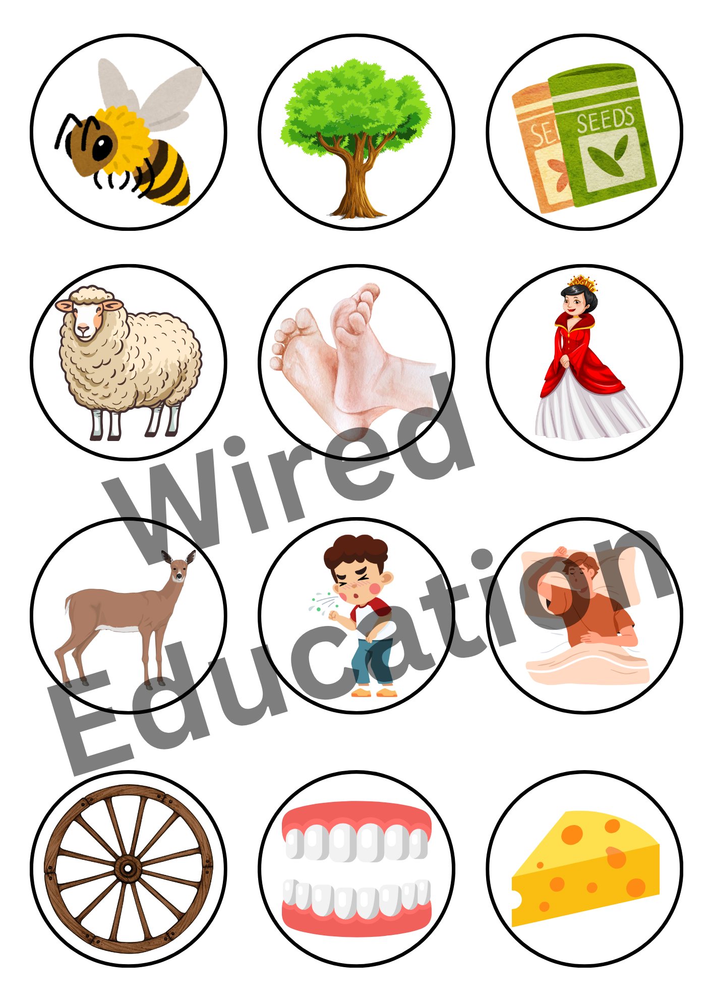 Long e sorting activity