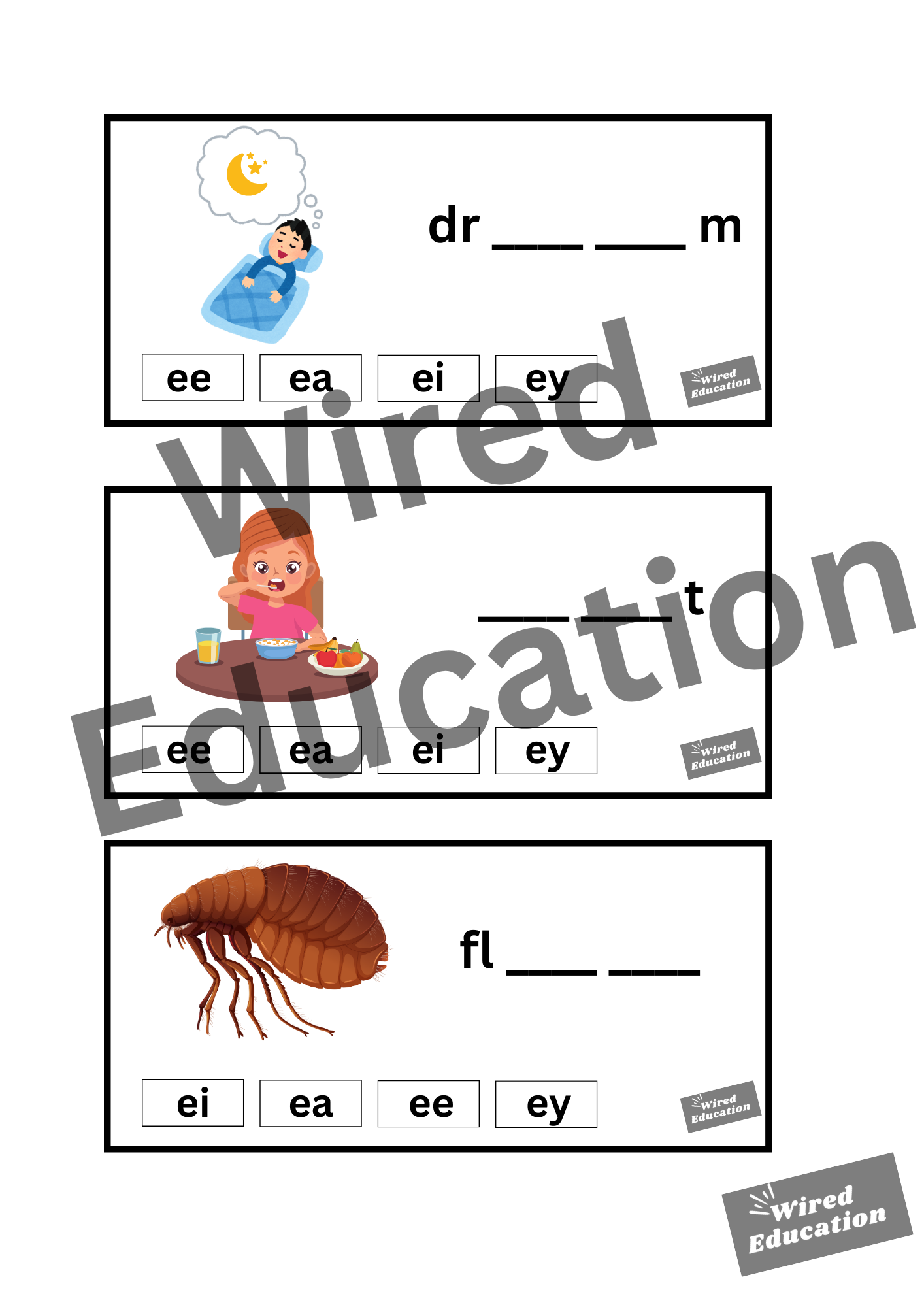 ea flash cards