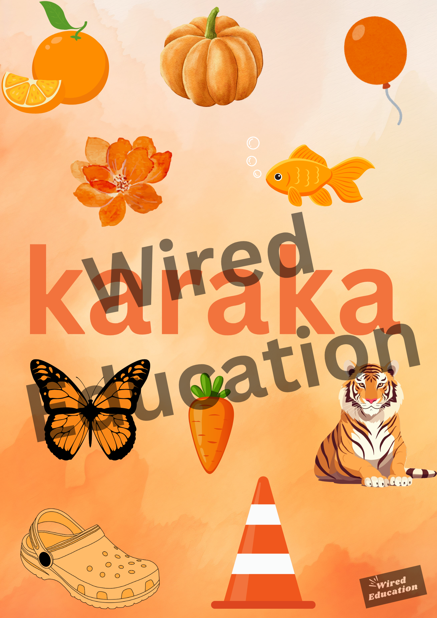 Maori Colour Display